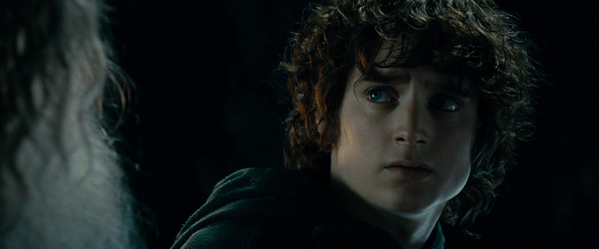 The Lord of the Rings: The Fellowship of the Ring (2001) screencap 15231
