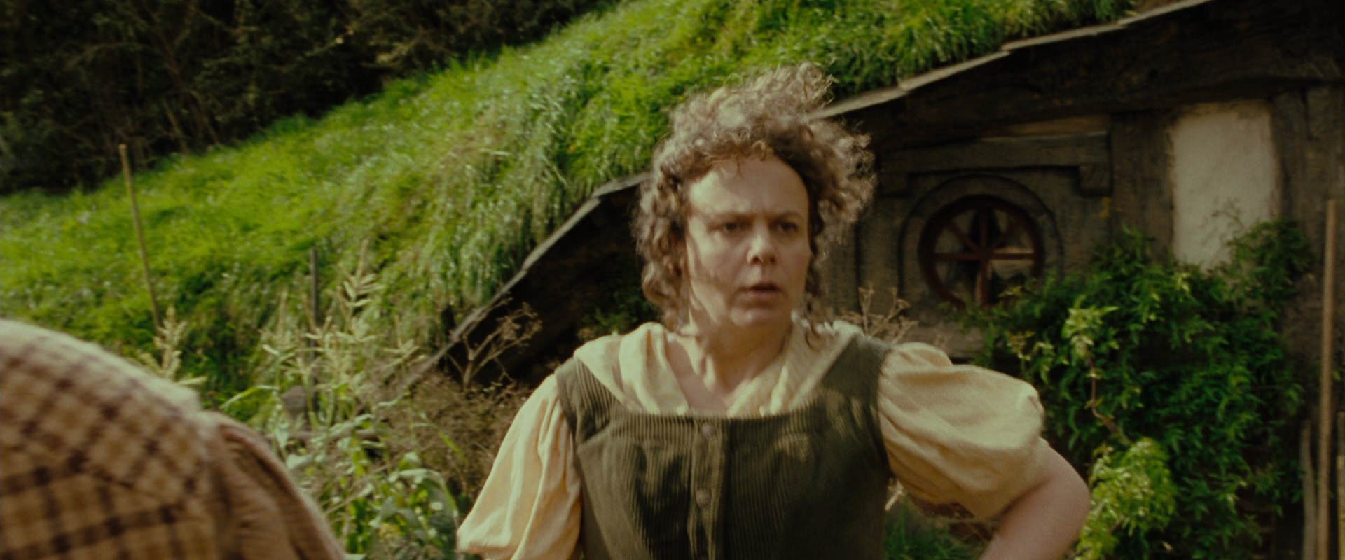 The Lord of the Rings: The Fellowship of the Ring (2001) screencap 1524