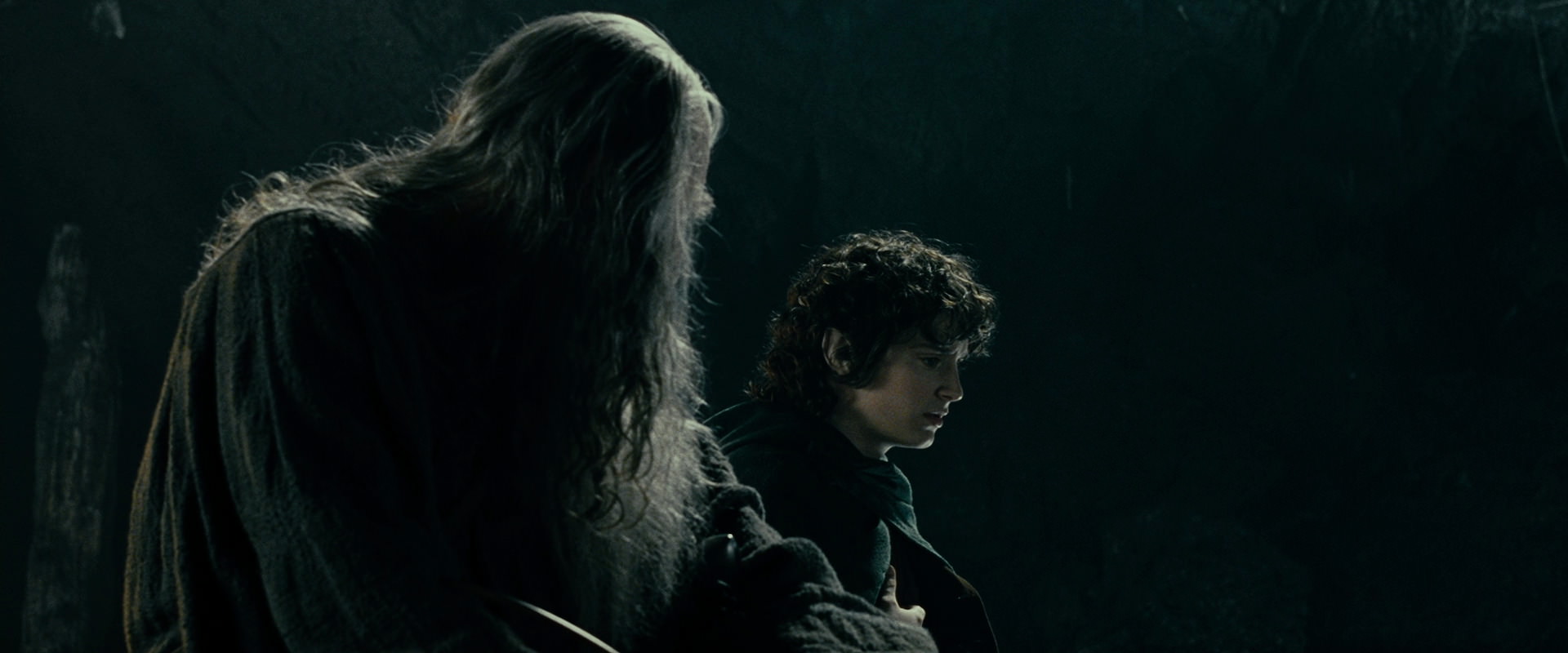 The Lord of the Rings: The Fellowship of the Ring (2001) HD screenshot 15251