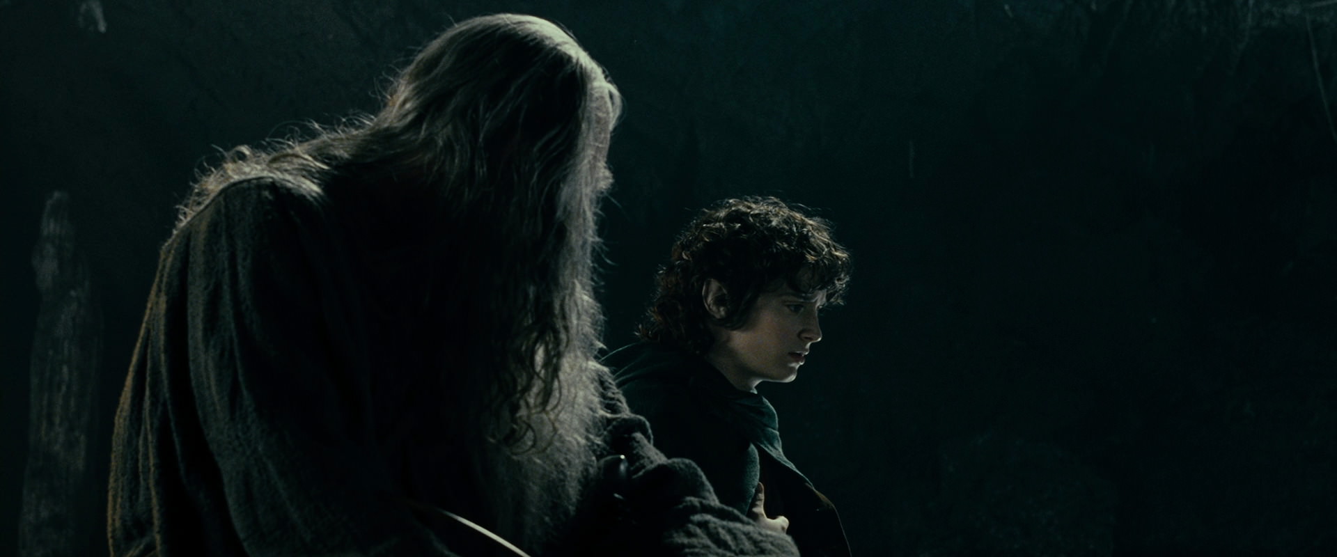 The Lord of the Rings: The Fellowship of the Ring (2001) screencap 15252