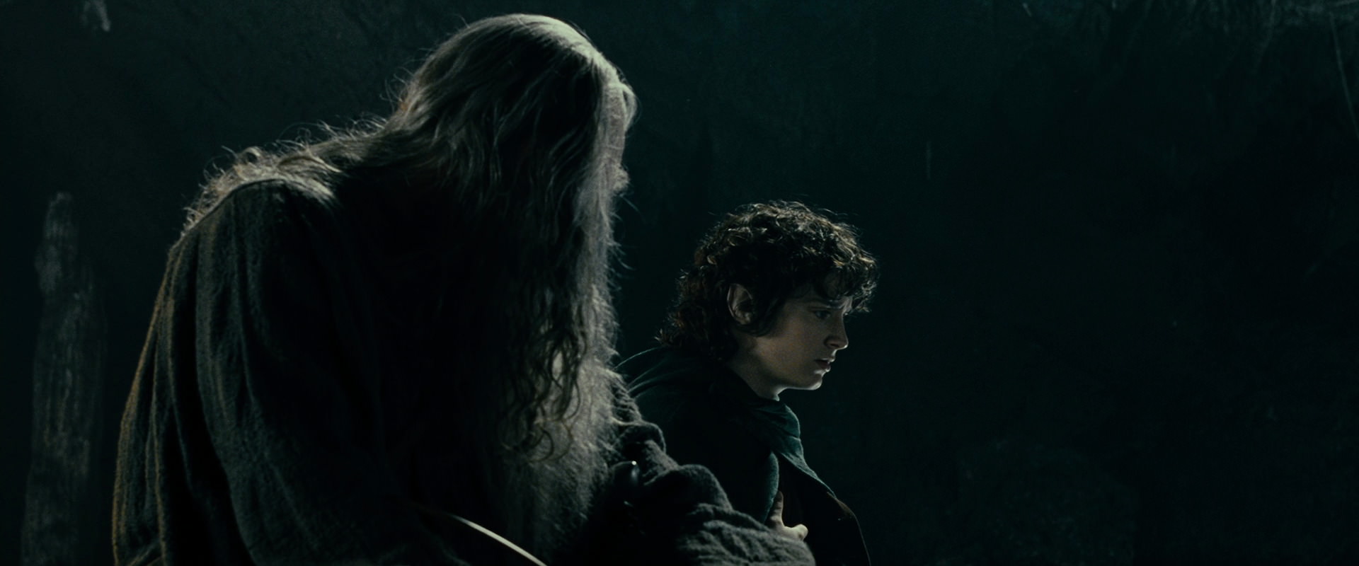 The Lord of the Rings: The Fellowship of the Ring (2001) screencap 15255