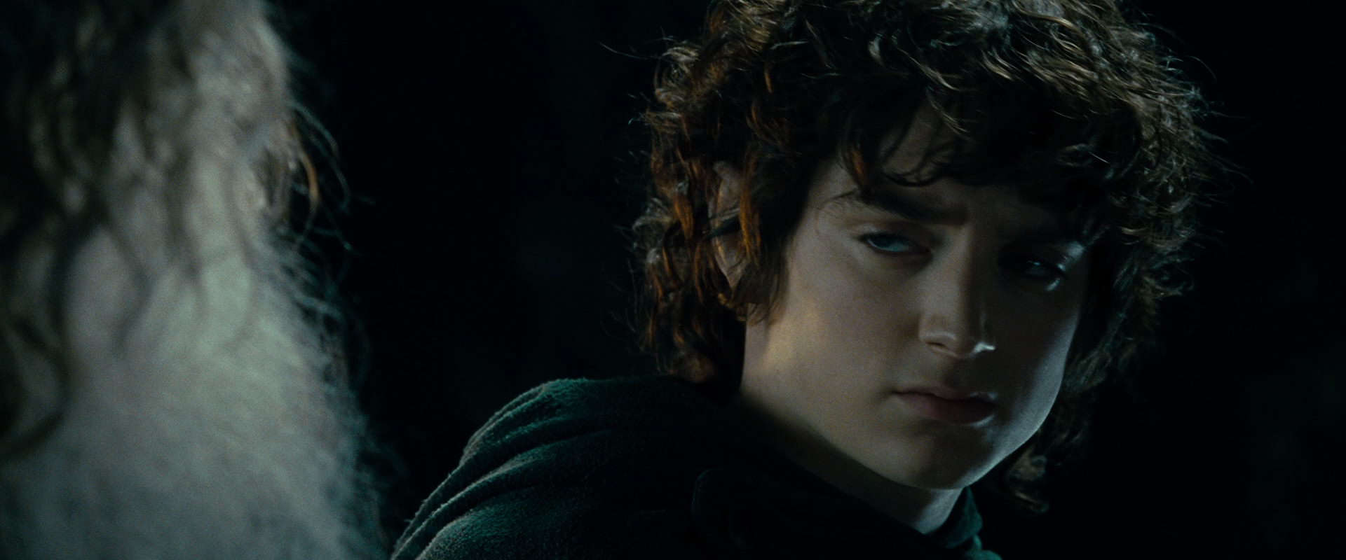 The Lord of the Rings: The Fellowship of the Ring (2001) HD screenshot 15263