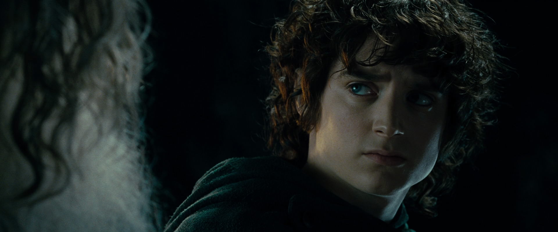 The Lord of the Rings: The Fellowship of the Ring (2001) screencap 15264