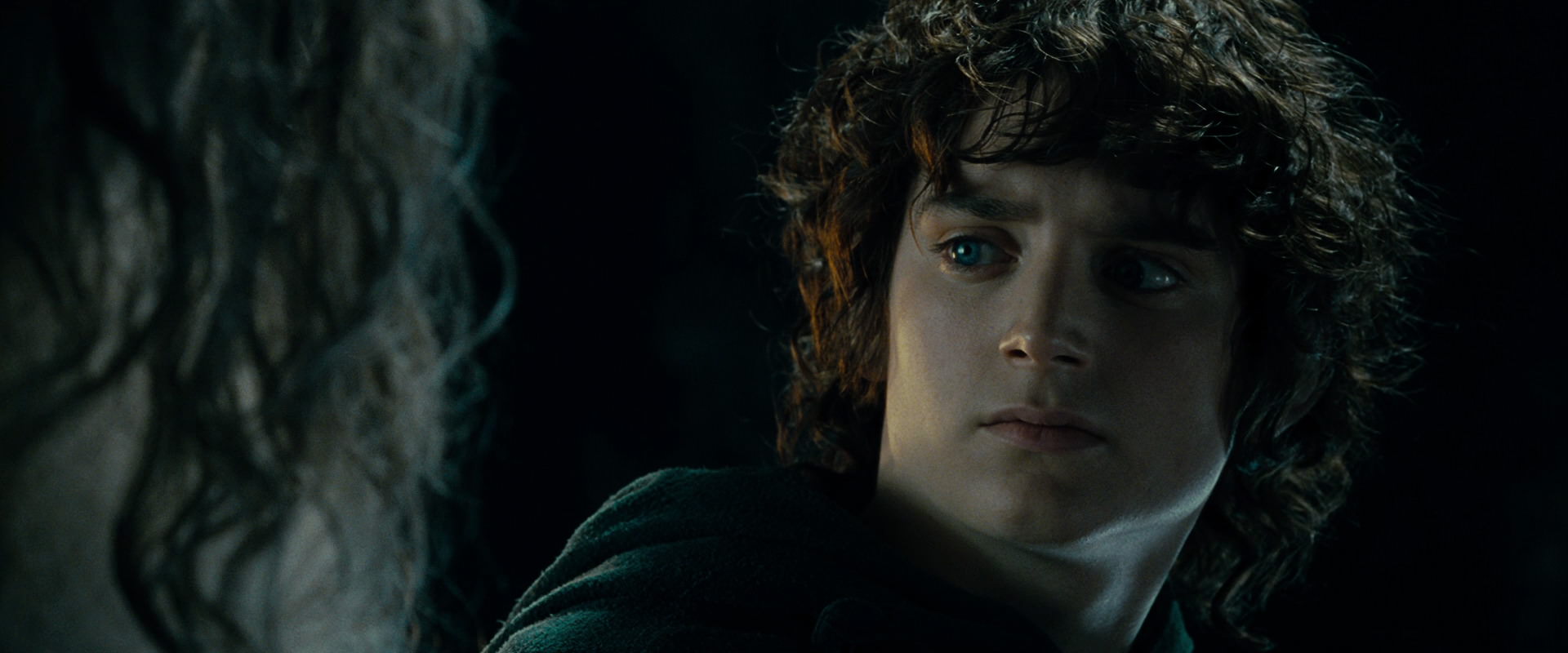 The Lord of the Rings: The Fellowship of the Ring (2001) screencap 15273
