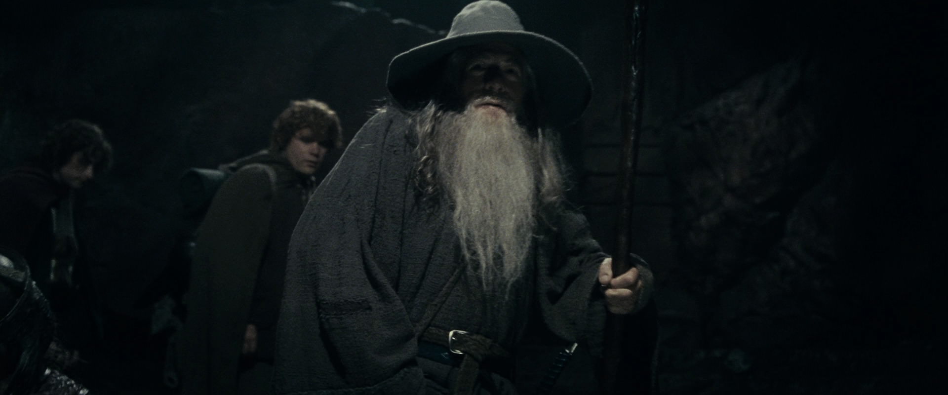 The Lord of the Rings: The Fellowship of the Ring (2001) screencap 15339