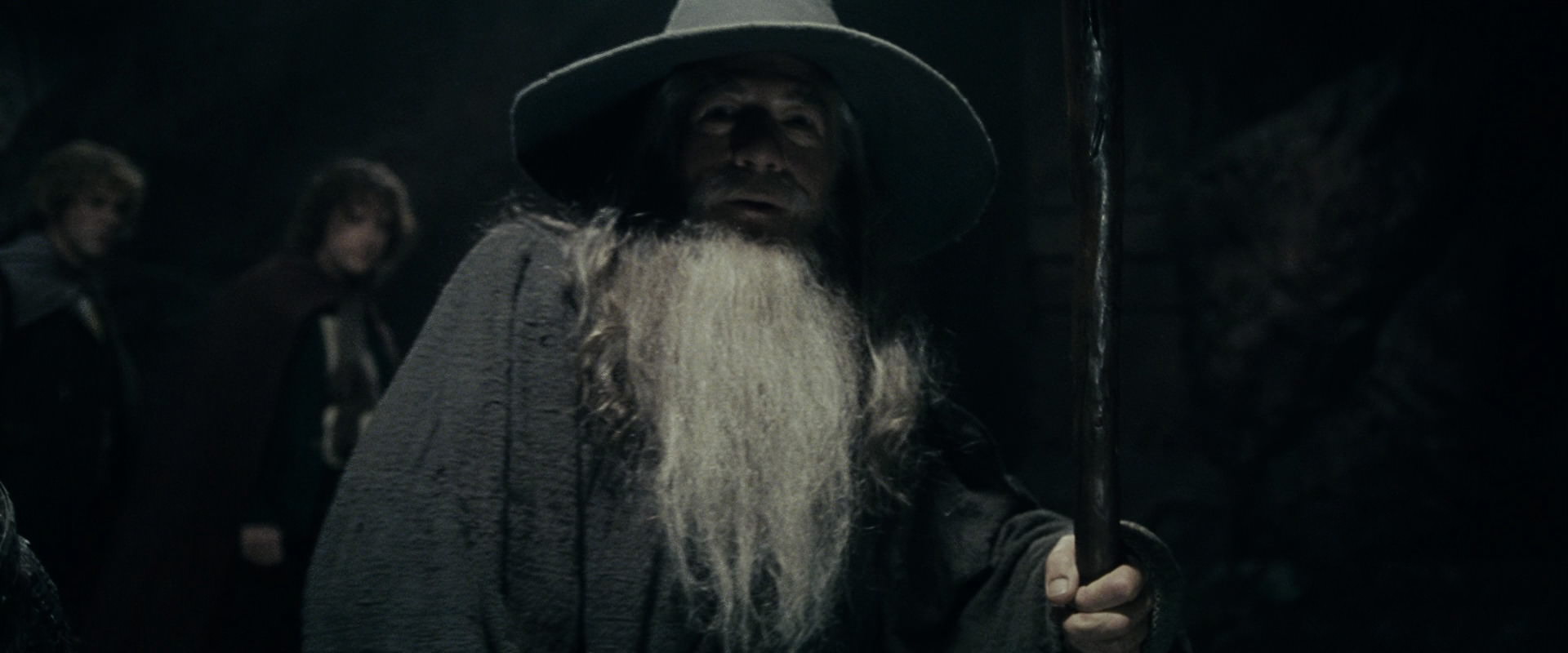 The Lord of the Rings: The Fellowship of the Ring (2001) screencap 15342