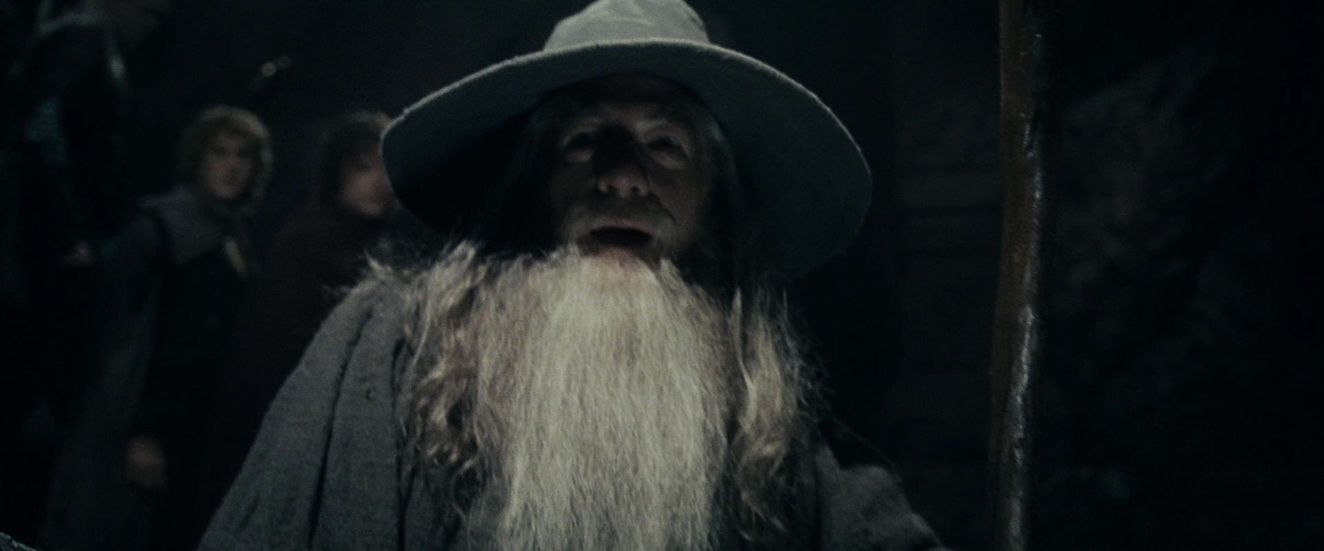 The Lord of the Rings: The Fellowship of the Ring (2001) HD screenshot 15344