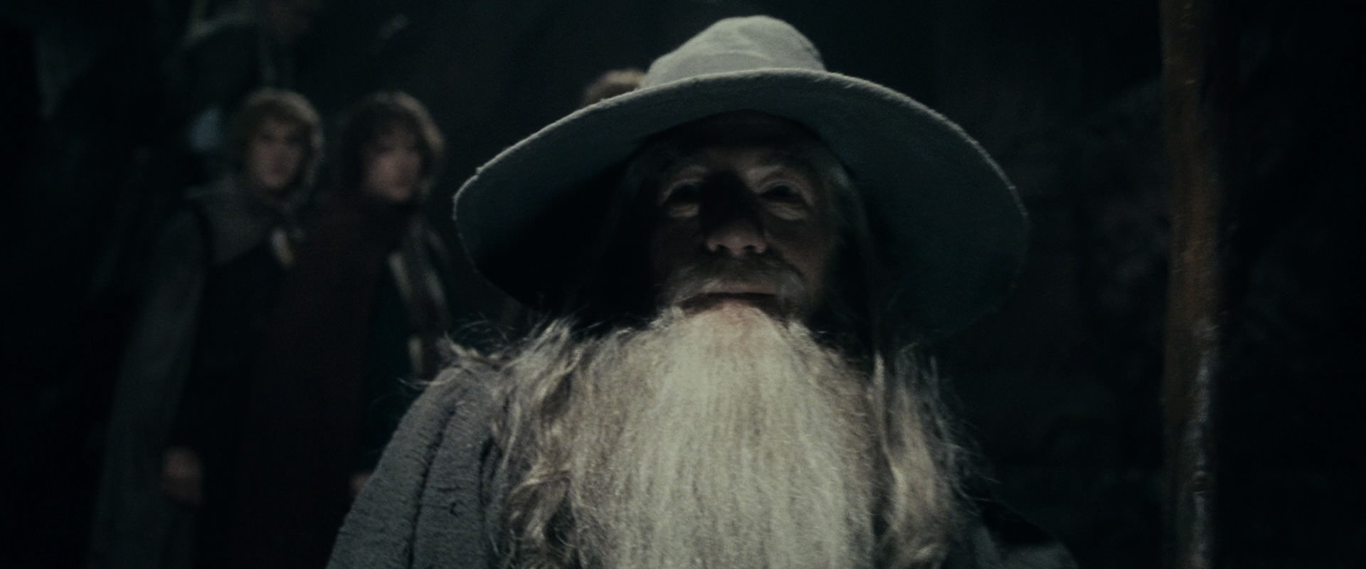 The Lord of the Rings: The Fellowship of the Ring (2001) screencap 15345