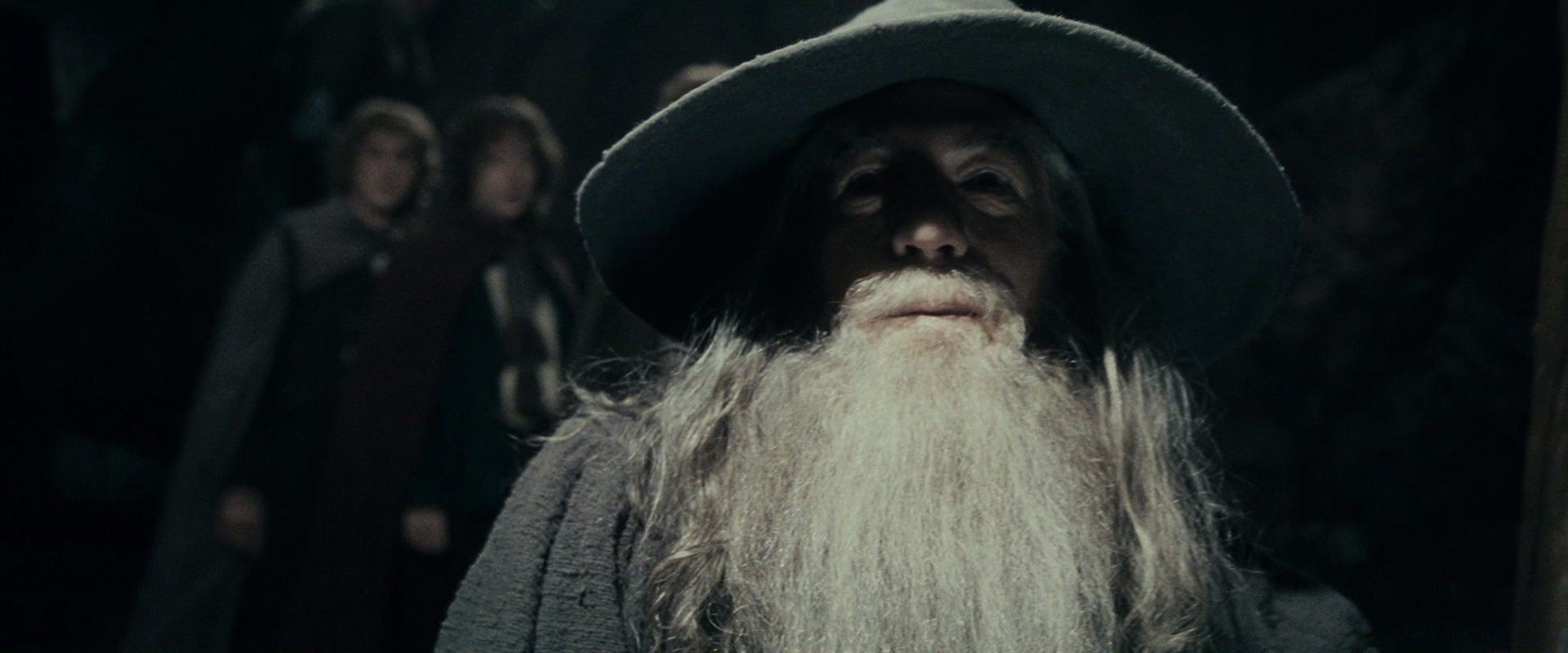 The Lord of the Rings: The Fellowship of the Ring (2001) movie still 15346