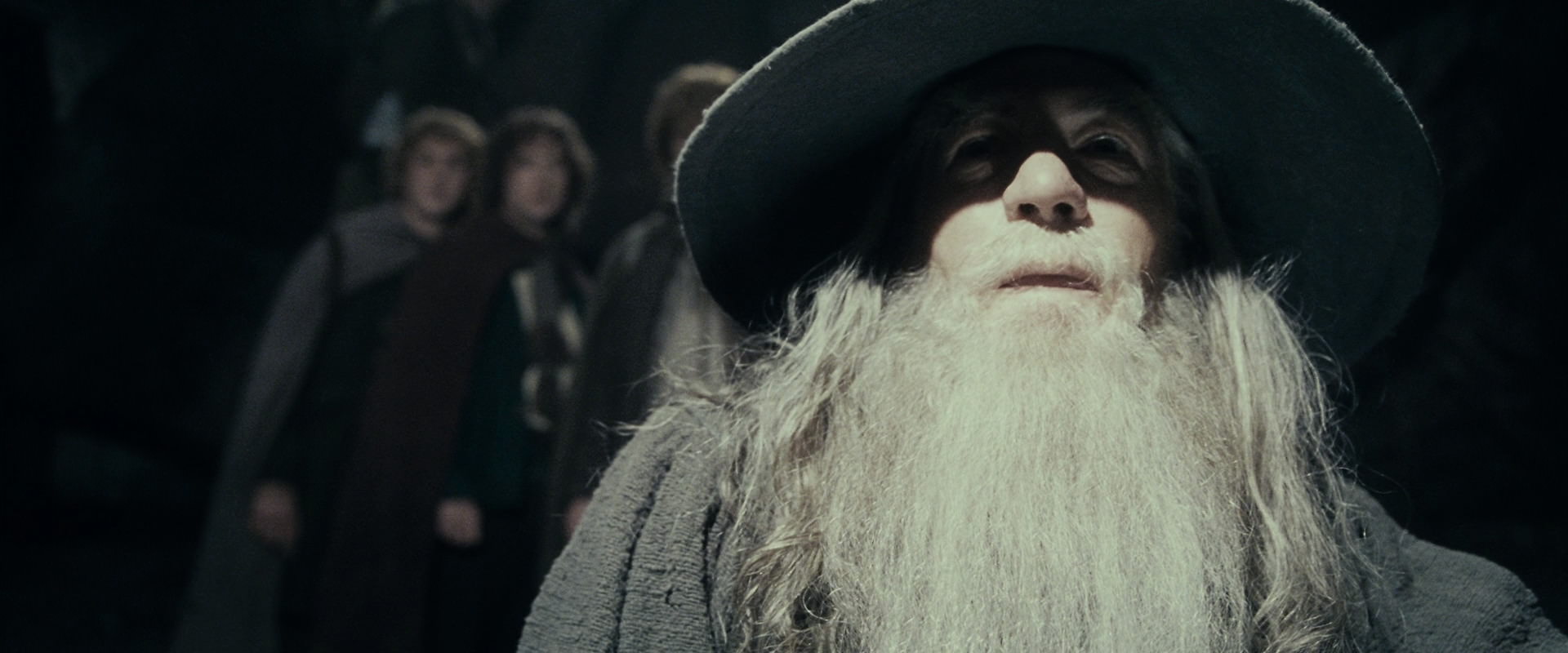 The Lord of the Rings: The Fellowship of the Ring (2001) screencap 15348