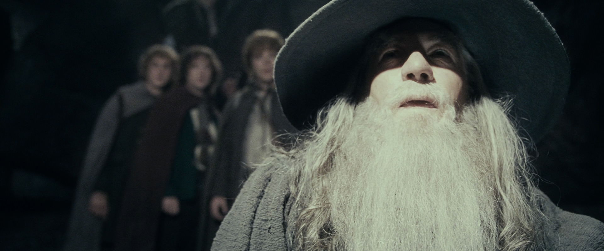 The Lord of the Rings: The Fellowship of the Ring (2001) movie still 15349