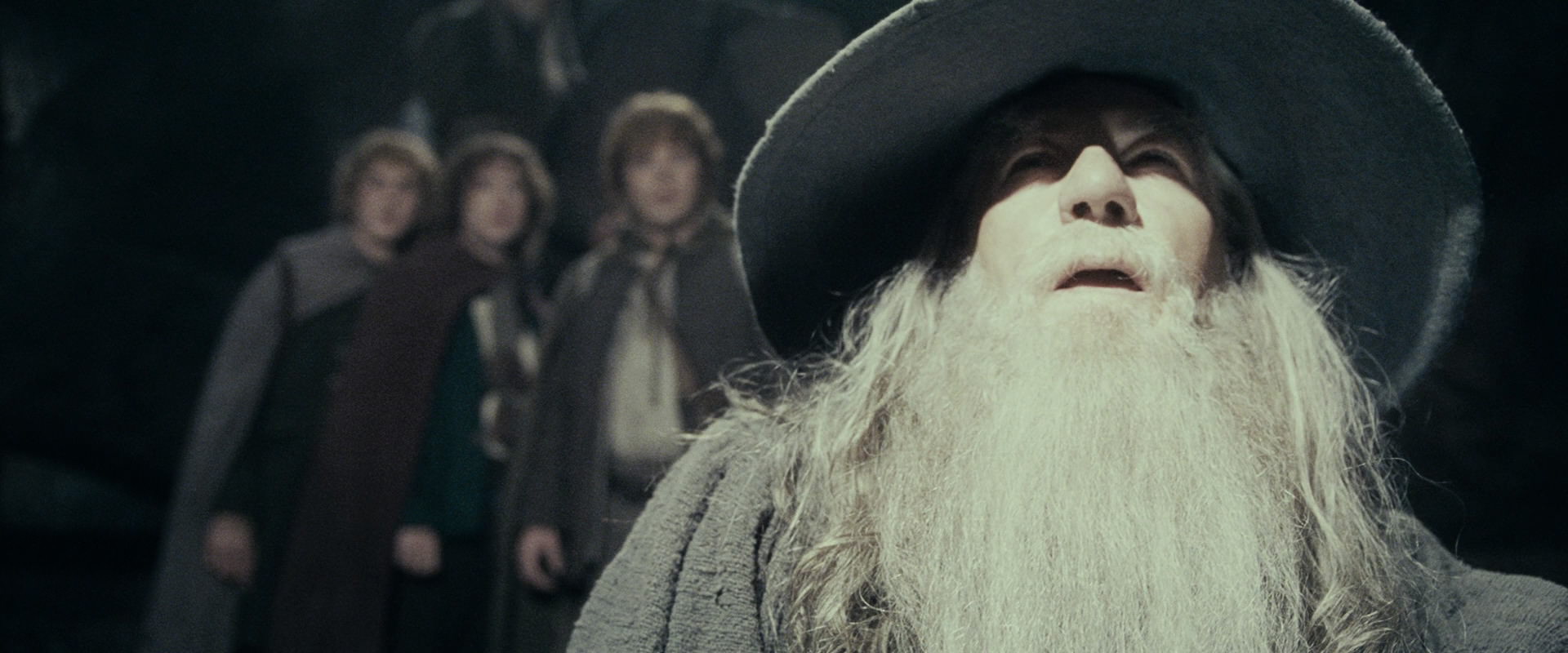The Lord of the Rings: The Fellowship of the Ring (2001) HD screenshot 15350
