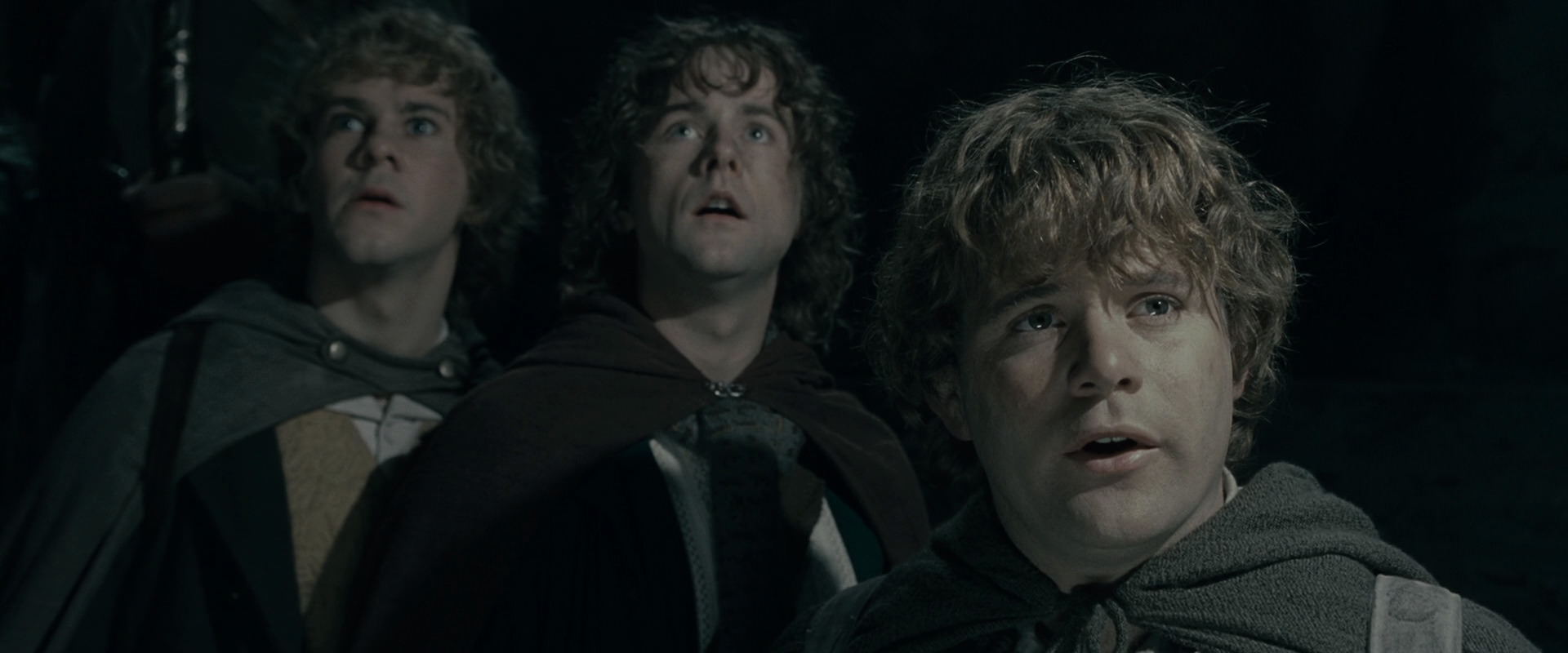 The Lord of the Rings: The Fellowship of the Ring (2001) screencap 15378