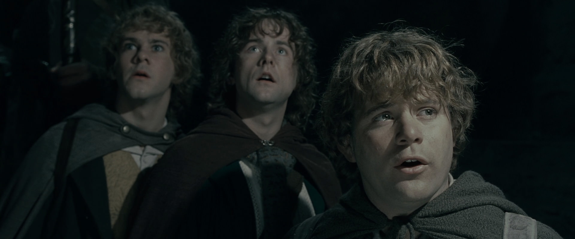 The Lord of the Rings: The Fellowship of the Ring (2001) movie still 15379