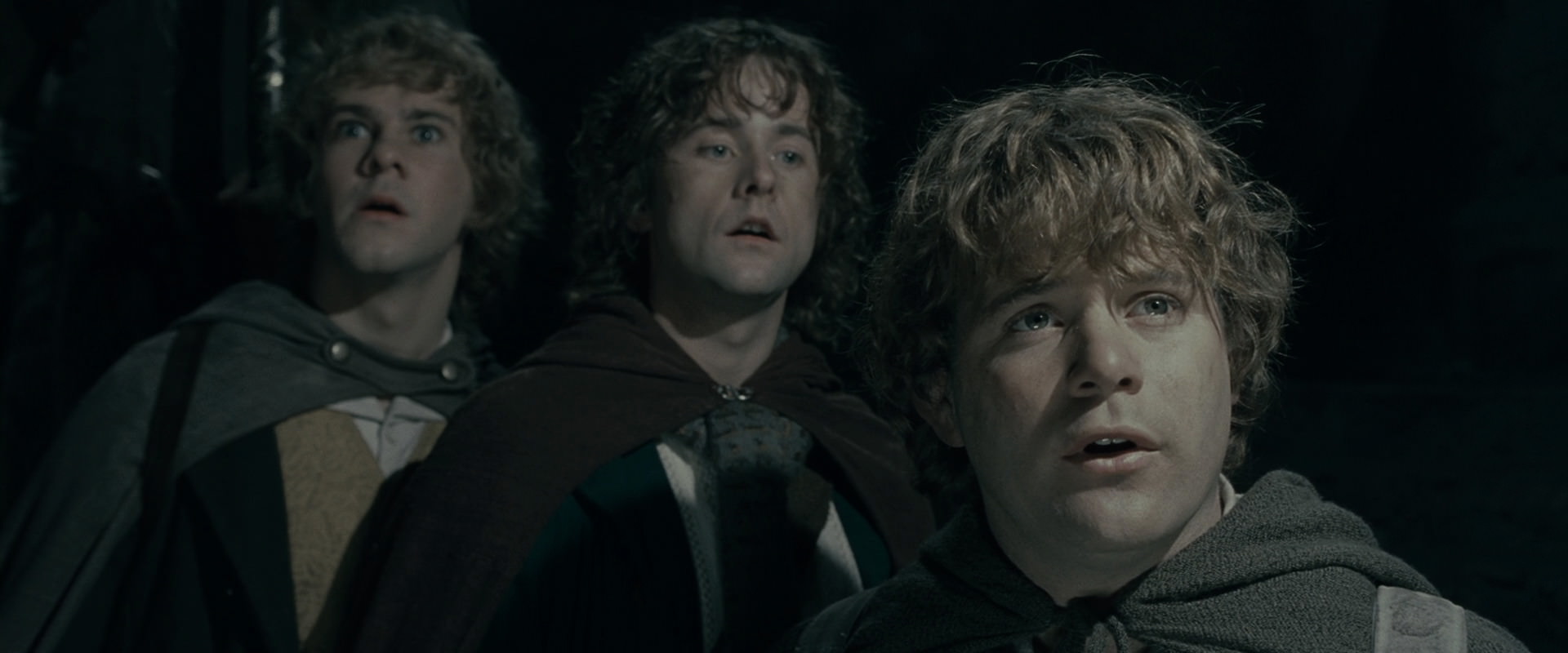 The Lord of the Rings: The Fellowship of the Ring (2001) HD screenshot 15380