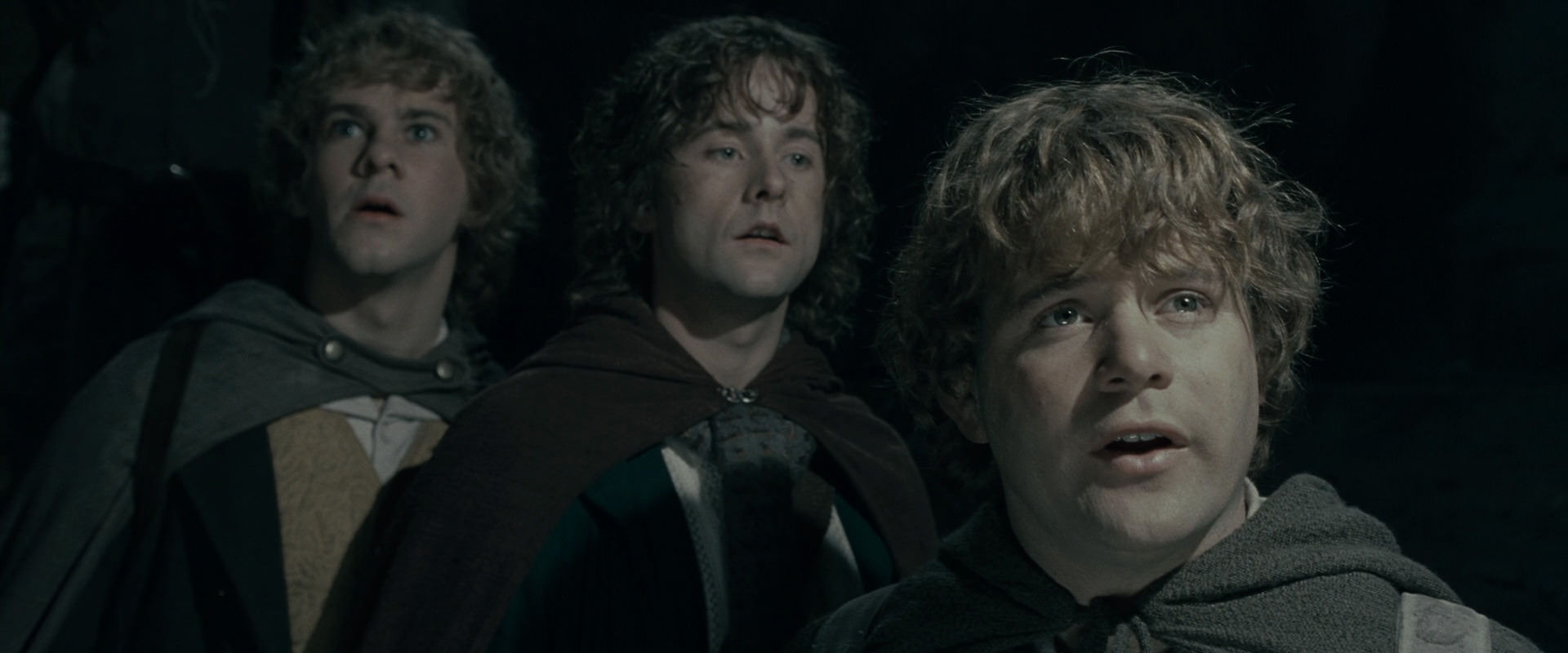 The Lord of the Rings: The Fellowship of the Ring (2001) screencap 15381