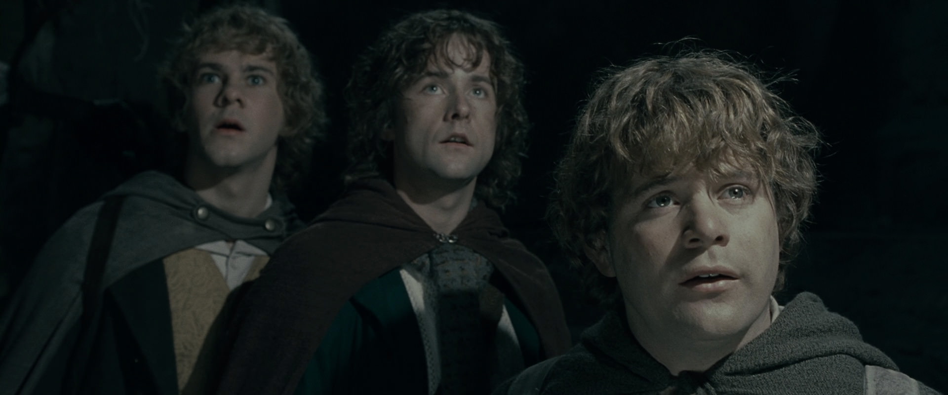 The Lord of the Rings: The Fellowship of the Ring (2001) movie still 15382