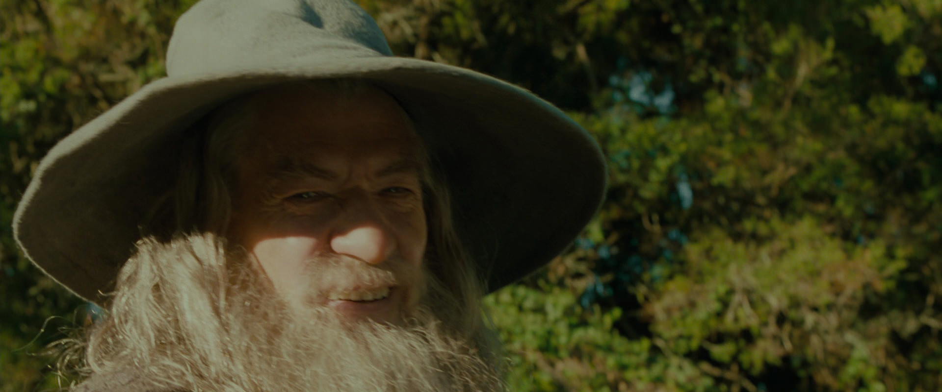 The Lord of the Rings: The Fellowship of the Ring (2001) screencap 1542