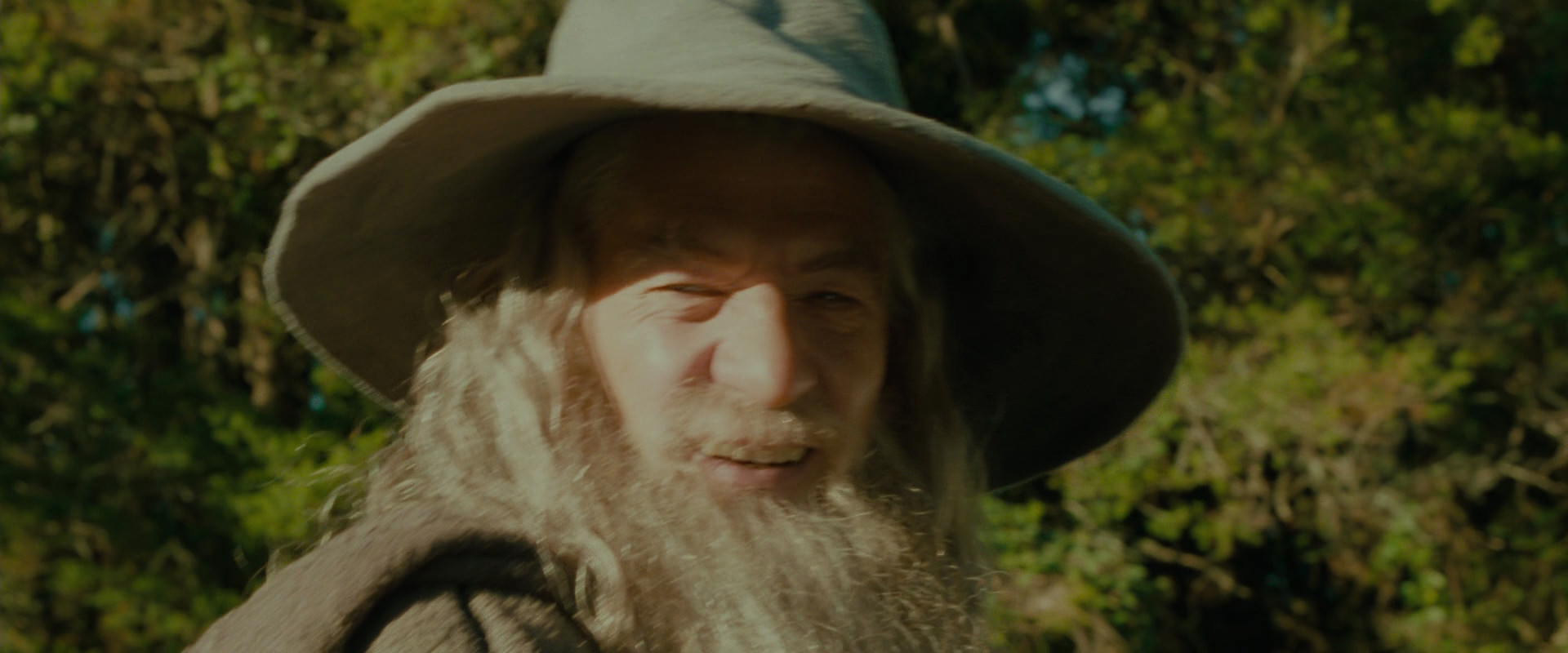 The Lord of the Rings: The Fellowship of the Ring (2001) movie still 1543