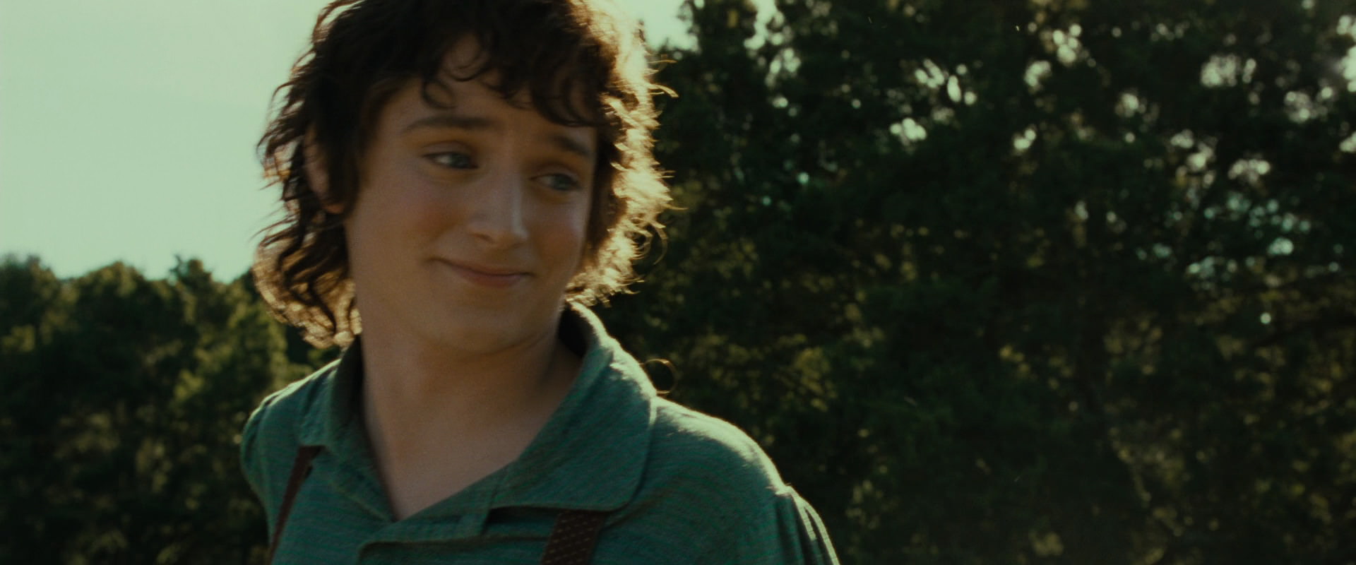 The Lord of the Rings: The Fellowship of the Ring (2001) screencap 1545