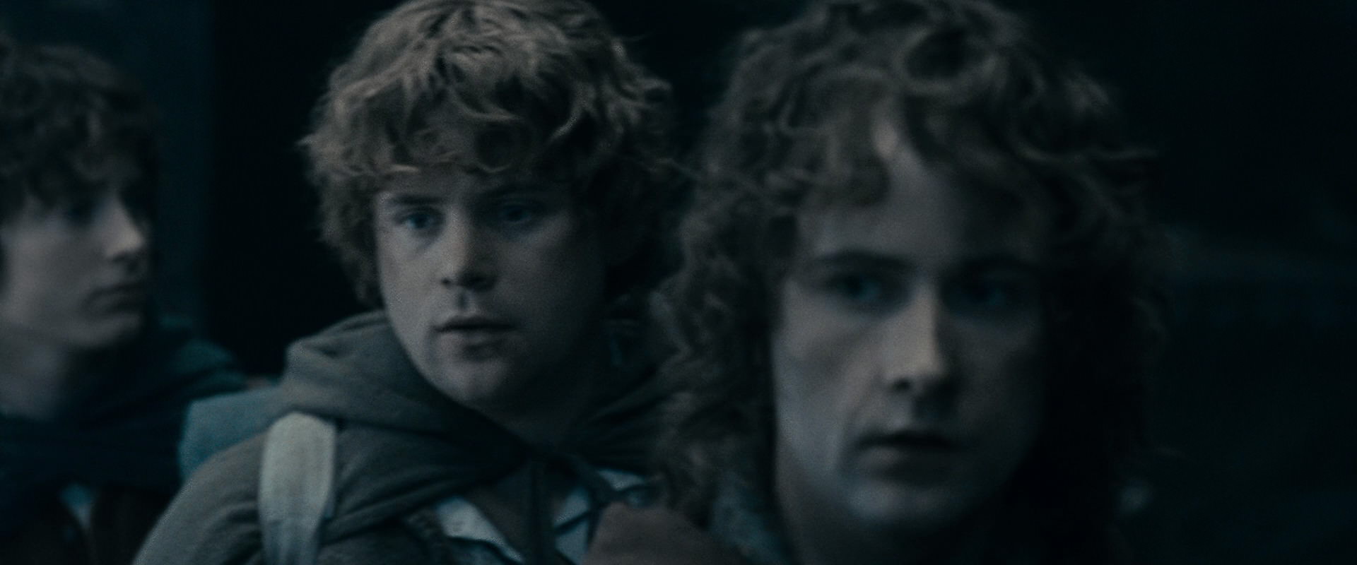 The Lord of the Rings: The Fellowship of the Ring (2001) HD screenshot 15491
