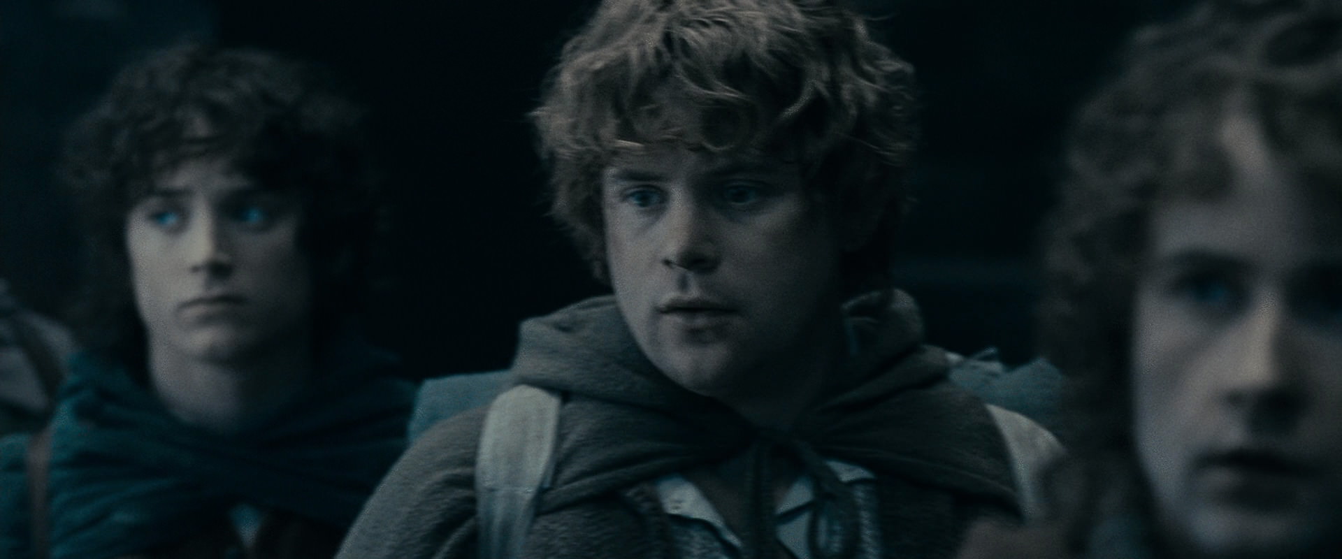 The Lord of the Rings: The Fellowship of the Ring (2001) screencap 15492