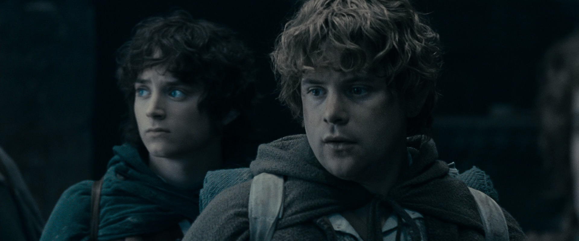 The Lord of the Rings: The Fellowship of the Ring (2001) movie still 15493