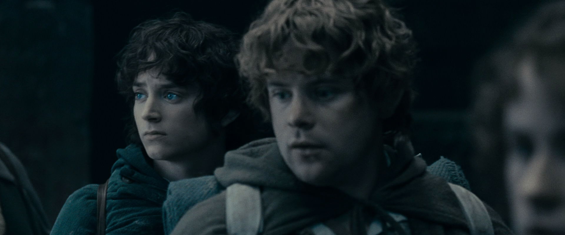 The Lord of the Rings: The Fellowship of the Ring (2001) HD screenshot 15494