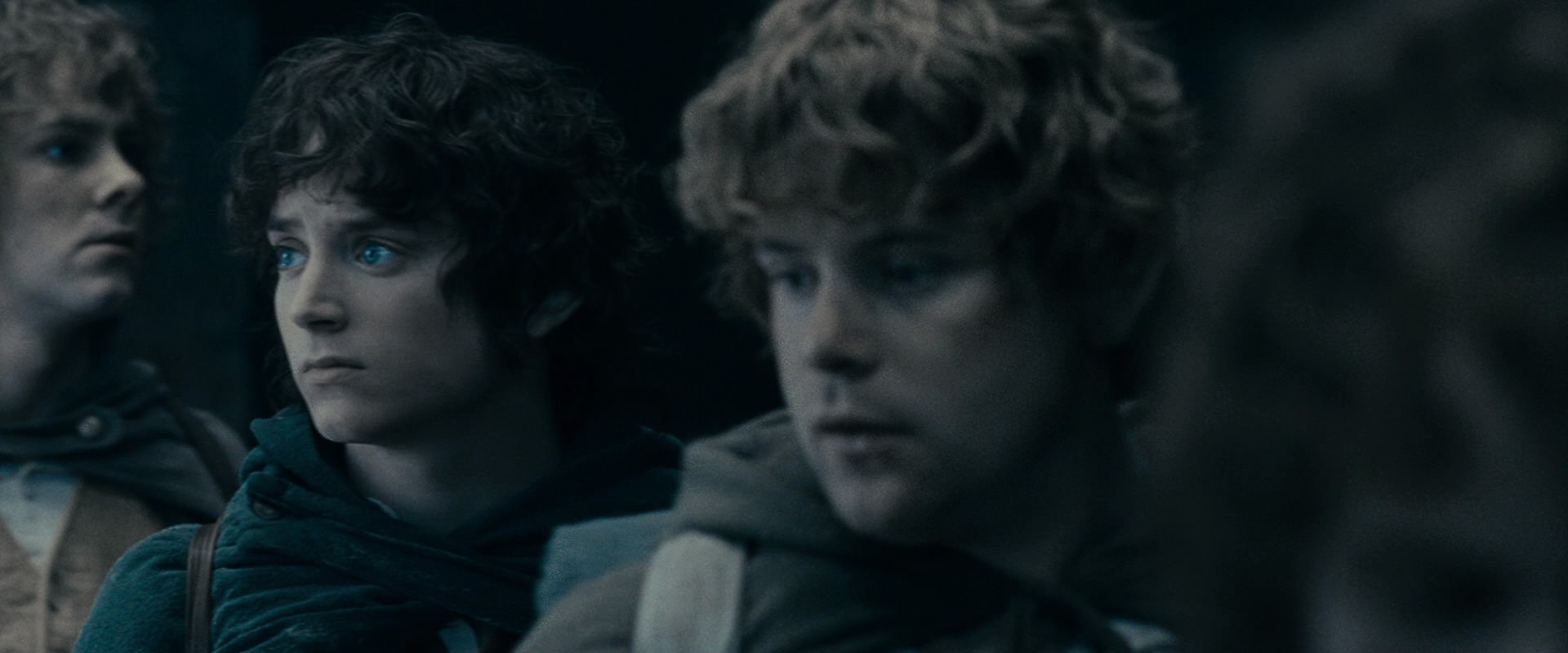 The Lord of the Rings: The Fellowship of the Ring (2001) screencap 15495