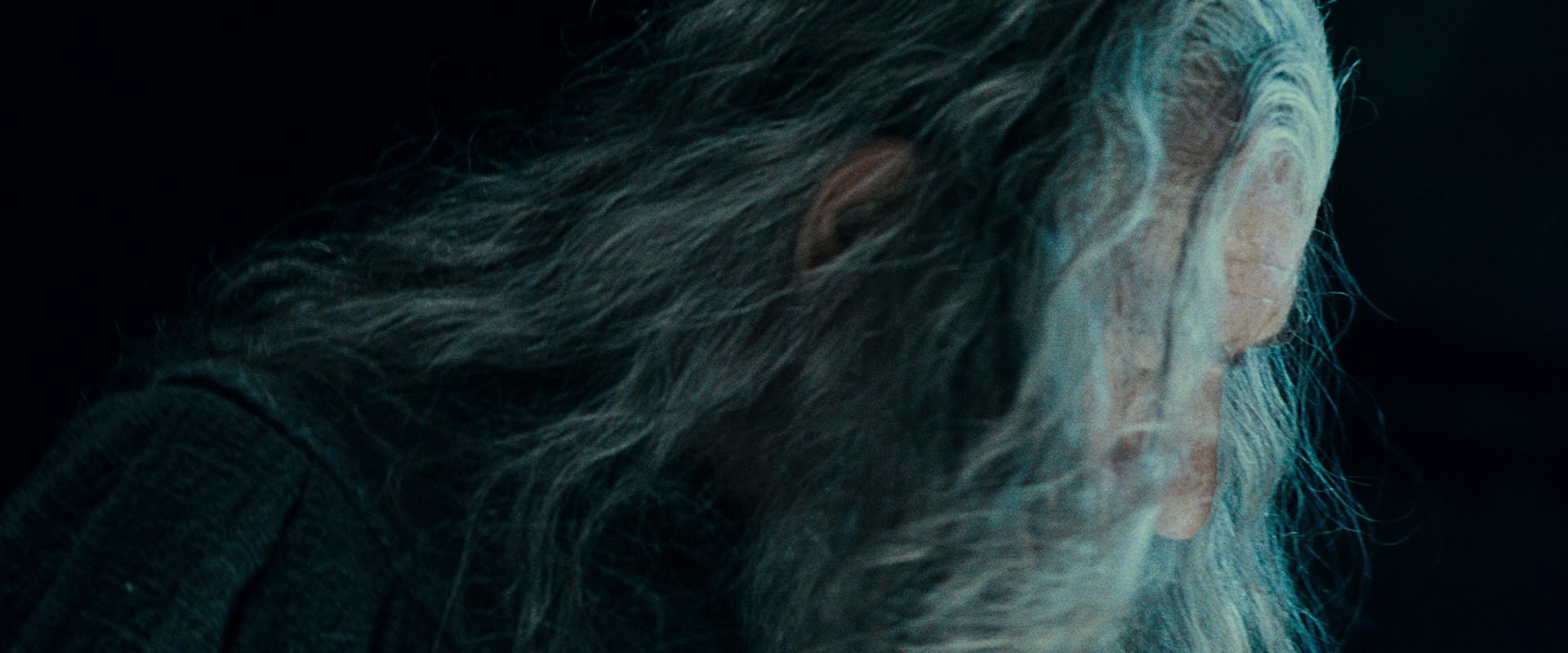 The Lord of the Rings: The Fellowship of the Ring (2001) movie still 15520