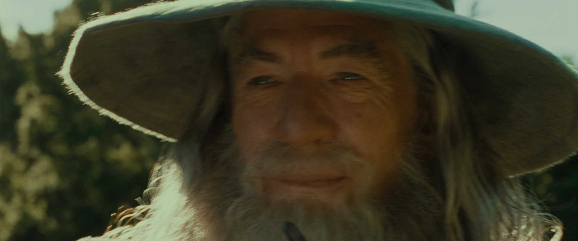The Lord of the Rings: The Fellowship of the Ring (2001) HD screenshot 1553