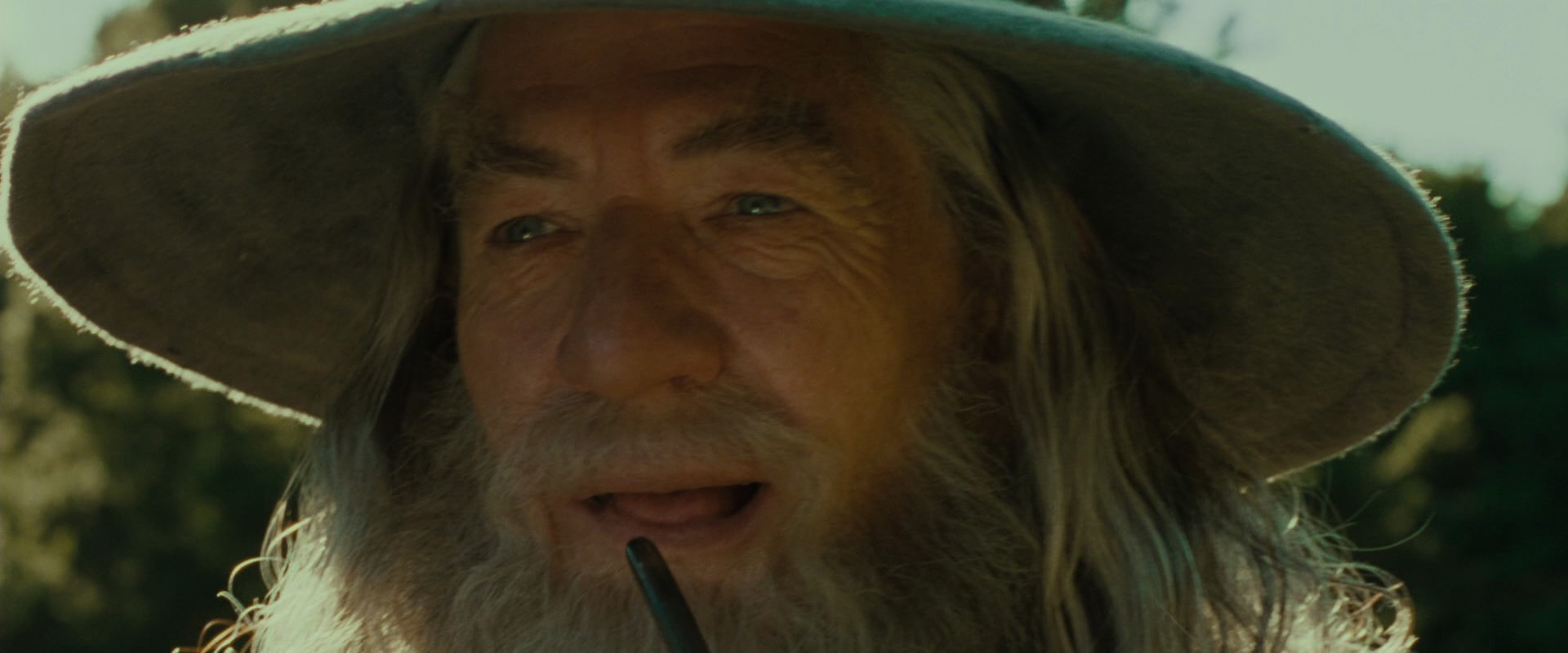 The Lord of the Rings: The Fellowship of the Ring (2001) screencap 1554