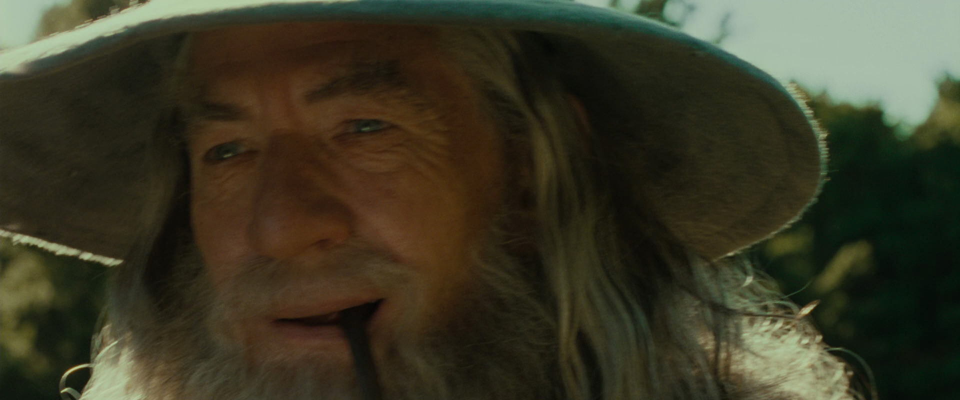 The Lord of the Rings: The Fellowship of the Ring (2001) HD screenshot 1556