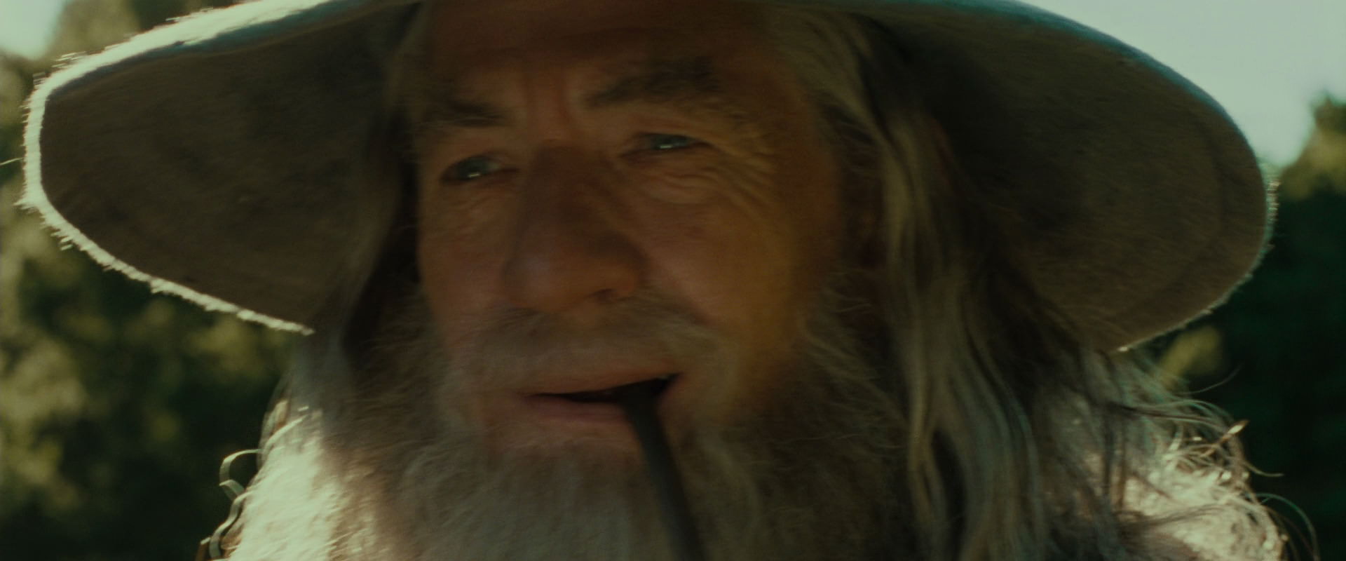The Lord of the Rings: The Fellowship of the Ring (2001) screencap 1557