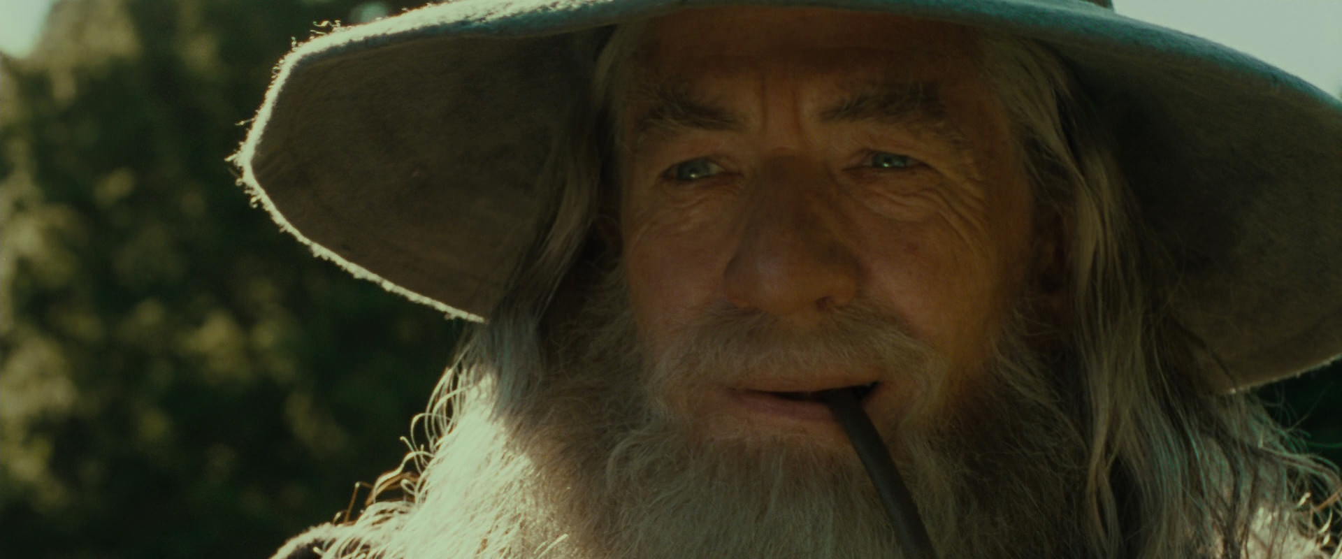 The Lord of the Rings: The Fellowship of the Ring (2001) movie still 1558