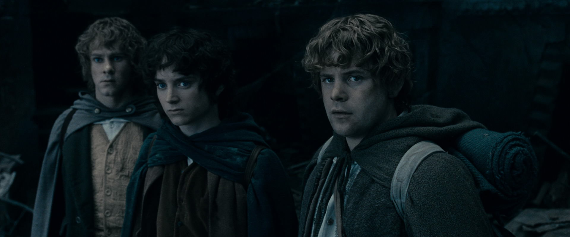 The Lord of the Rings: The Fellowship of the Ring (2001) HD screenshot 15581