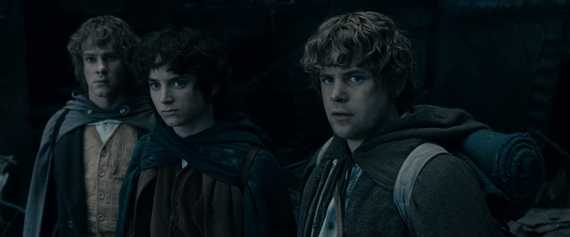 The Lord of the Rings: The Fellowship of the Ring (2001) screencap 15582