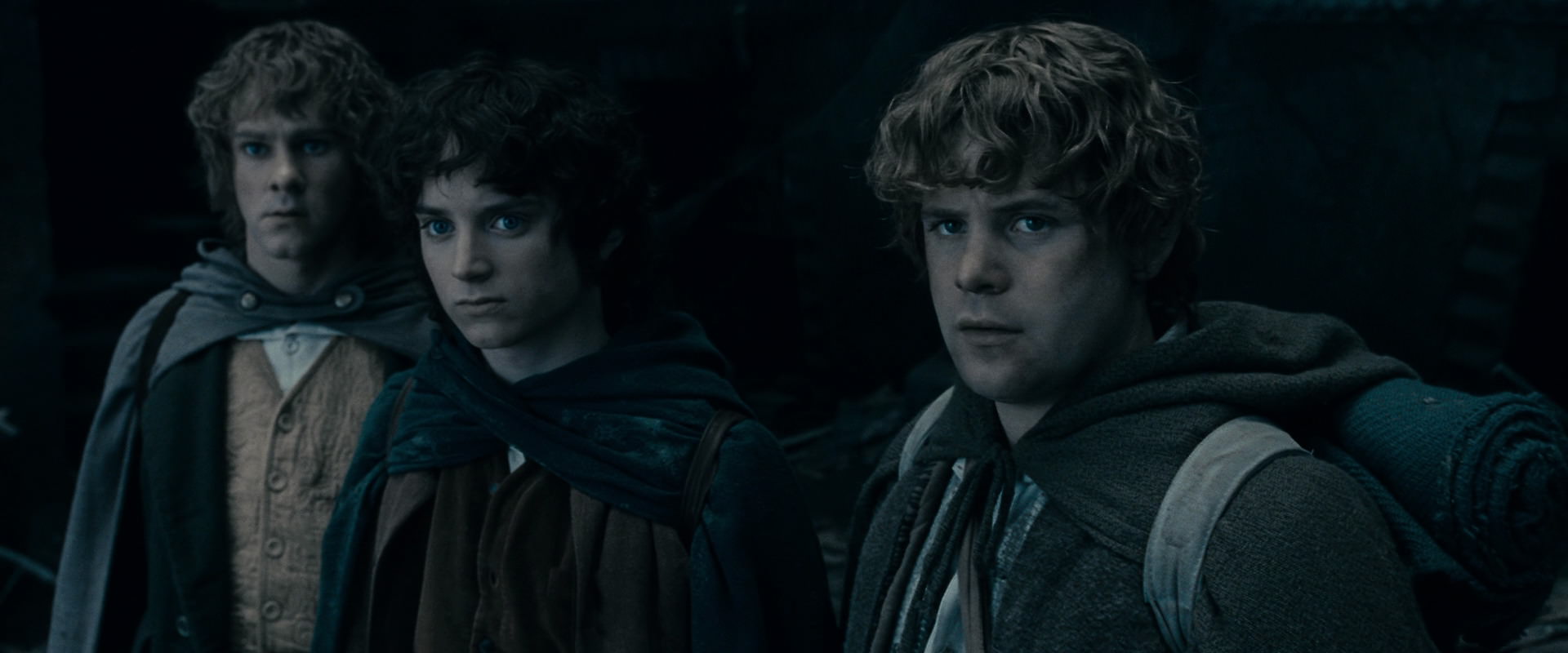 The Lord of the Rings: The Fellowship of the Ring (2001) HD screenshot 15584