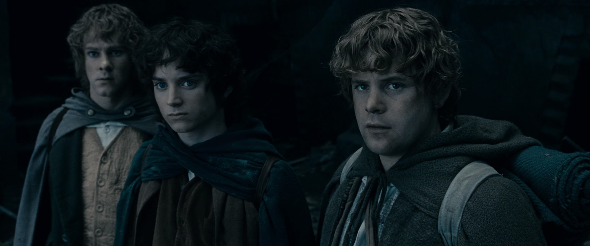The Lord of the Rings: The Fellowship of the Ring (2001) screencap 15585