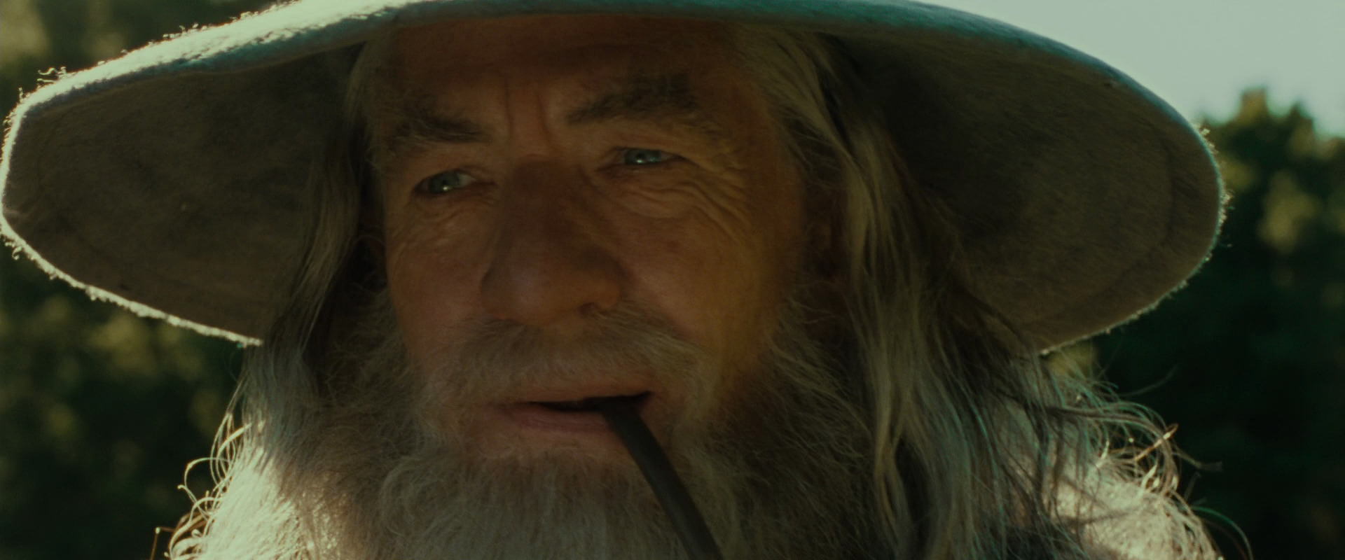 The Lord of the Rings: The Fellowship of the Ring (2001) HD screenshot 1559
