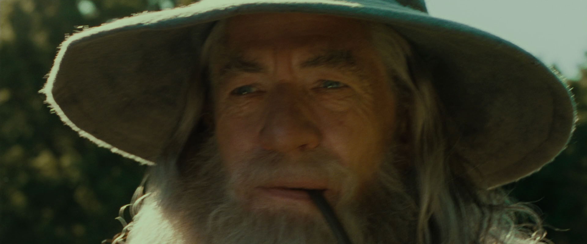 The Lord of the Rings: The Fellowship of the Ring (2001) screencap 1560