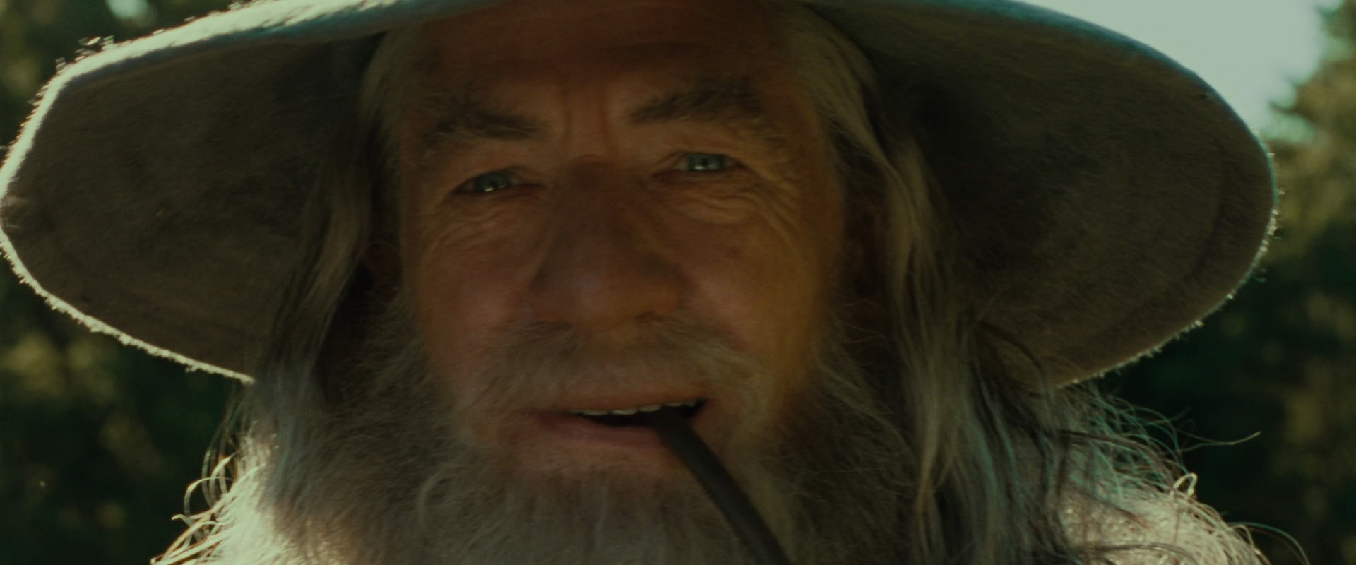 The Lord of the Rings: The Fellowship of the Ring (2001) movie still 1561
