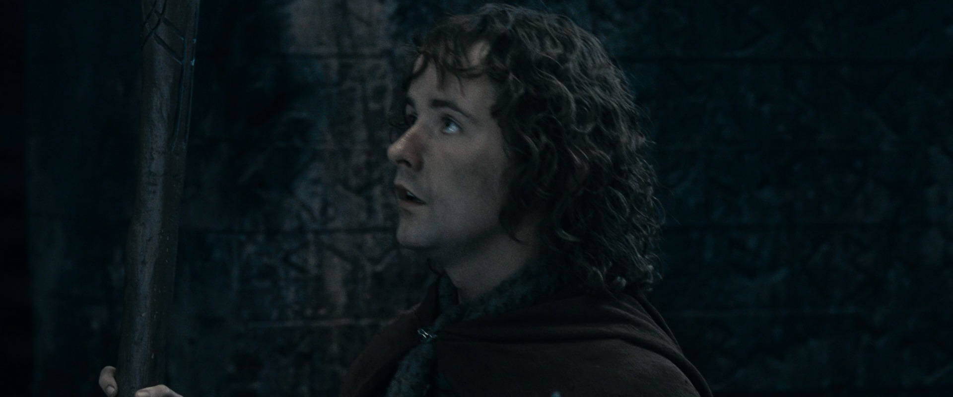 The Lord of the Rings: The Fellowship of the Ring (2001) HD screenshot 15617