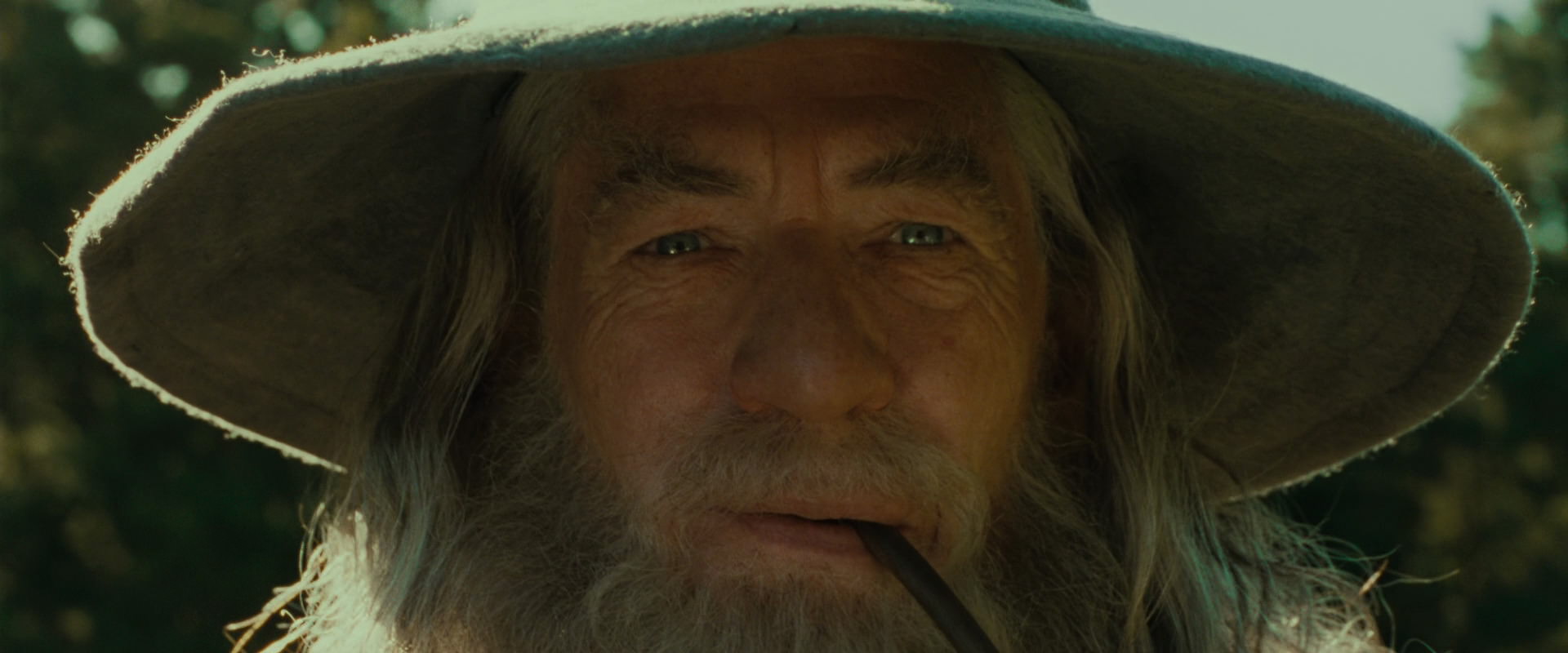 The Lord of the Rings: The Fellowship of the Ring (2001) HD screenshot 1562