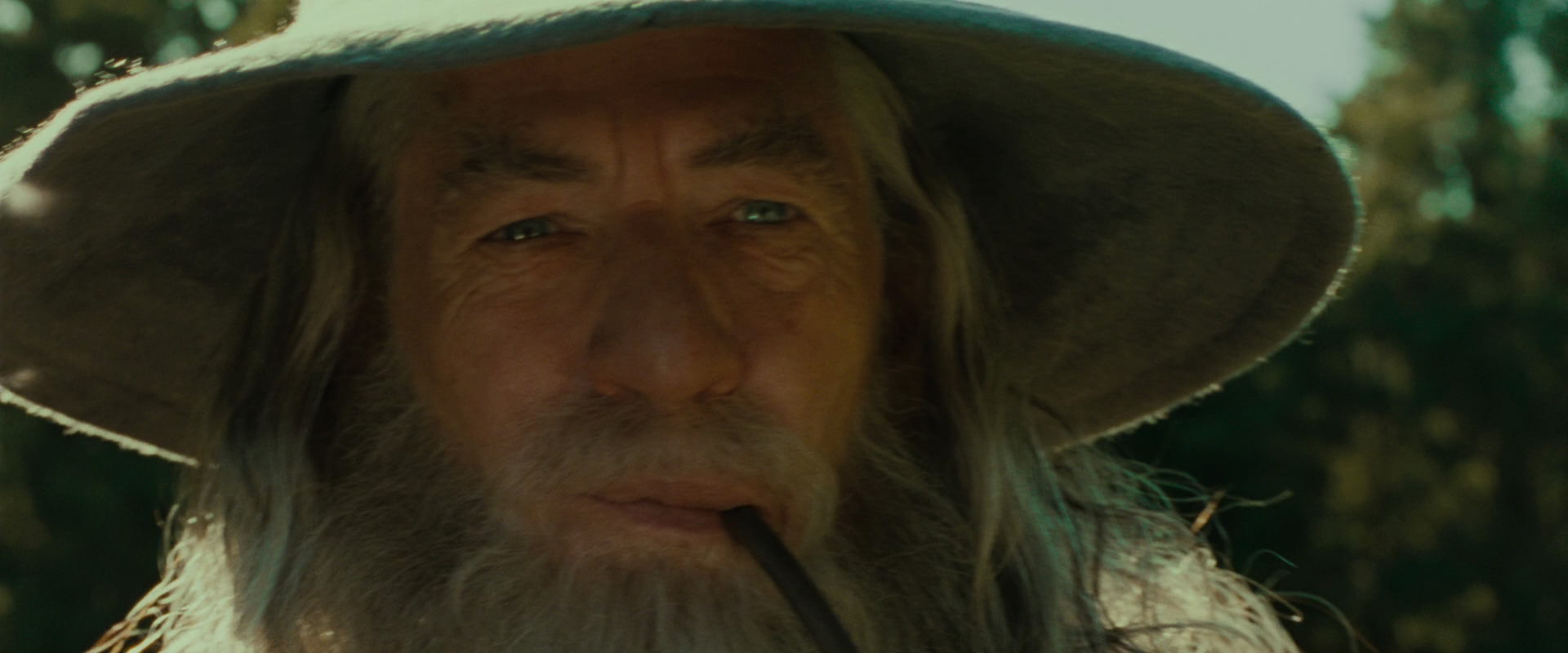 The Lord of the Rings: The Fellowship of the Ring (2001) screencap 1563
