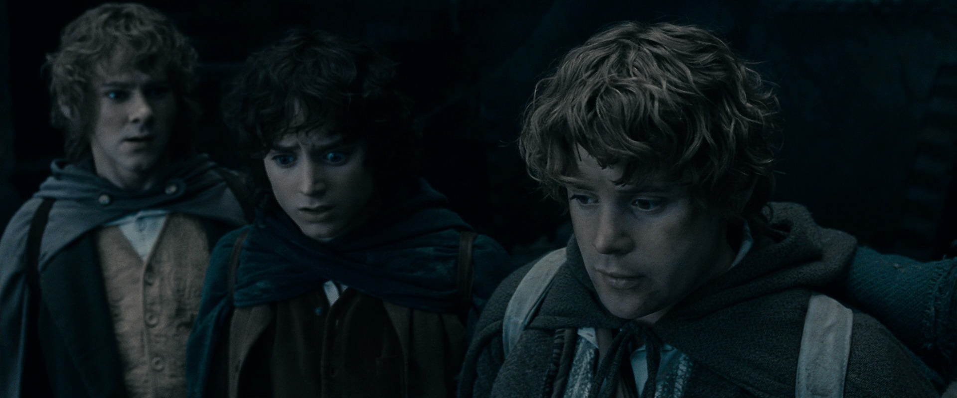 The Lord of the Rings: The Fellowship of the Ring (2001) movie still 15679