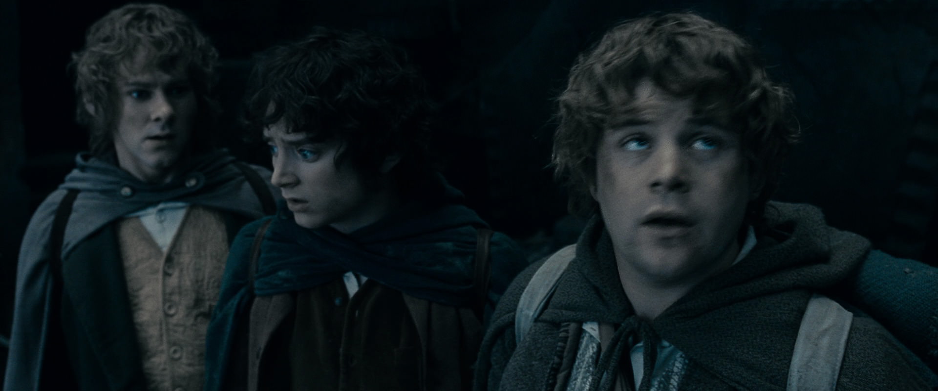The Lord of the Rings: The Fellowship of the Ring (2001) HD screenshot 15680