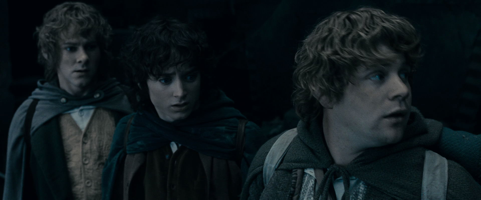 The Lord of the Rings: The Fellowship of the Ring (2001) screencap 15681