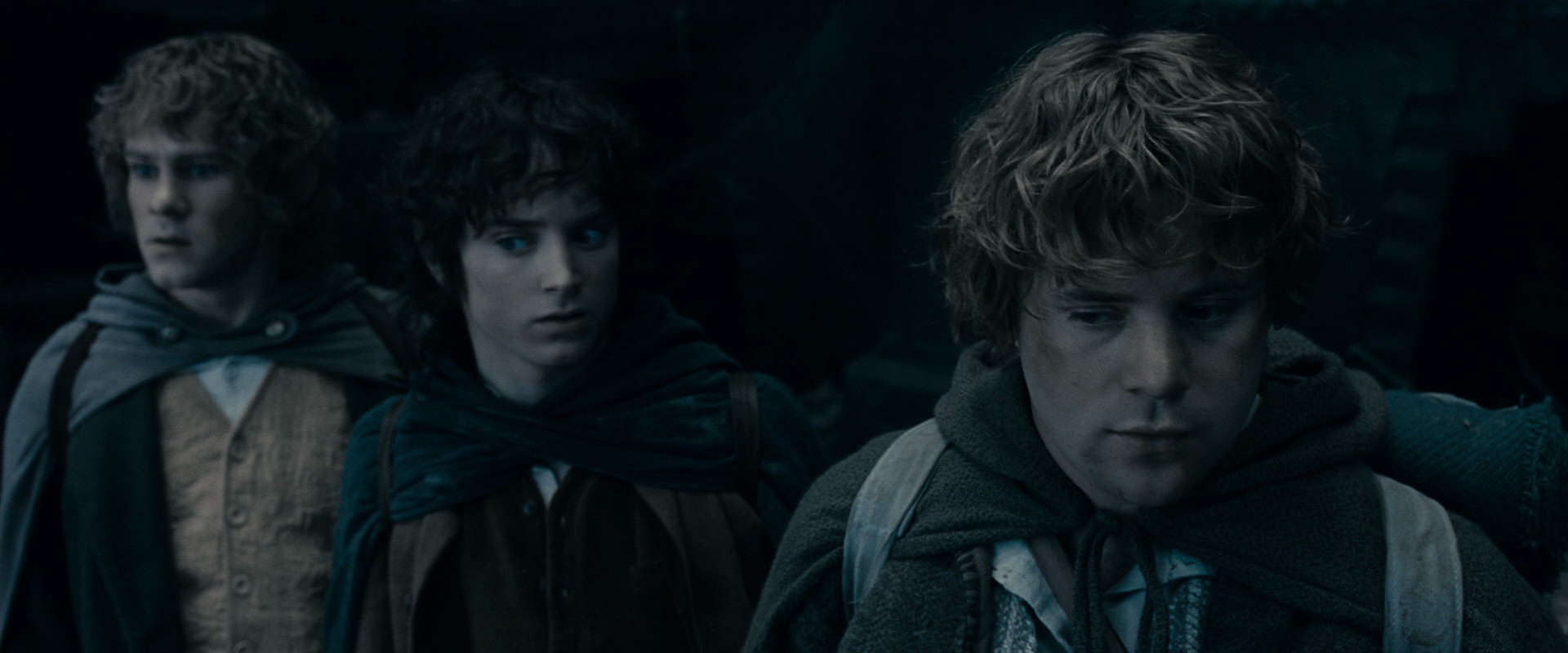 The Lord of the Rings: The Fellowship of the Ring (2001) screencap 15711