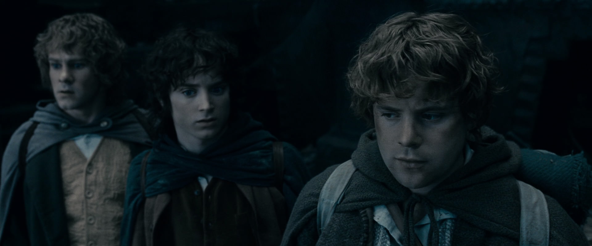 The Lord of the Rings: The Fellowship of the Ring (2001) movie still 15712